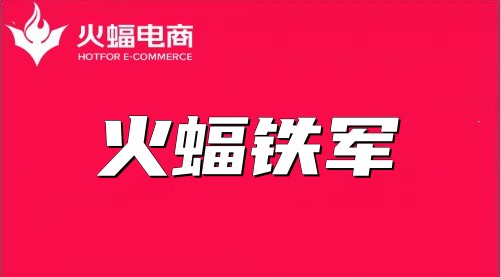 韶華恰逢少年時，海豹的電商運營之路